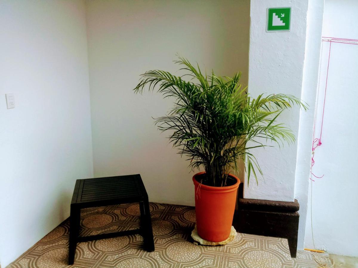 Casa Shalom Hotel Oaxaca ภายนอก รูปภาพ